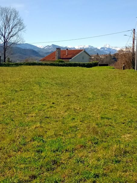 Vente terrain  1500 m² à Montréjeau (31210), 50 000 €