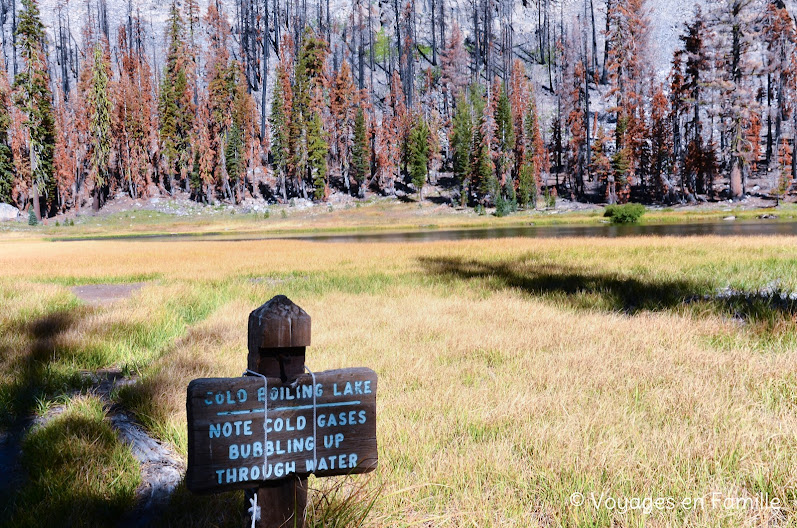 lassen Volcanic NM - Cold Boiling Lake