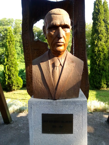 Gróf Széchenyi Zsigmond 