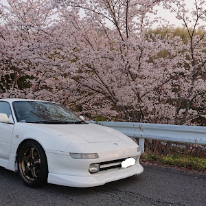 MR2 SW20