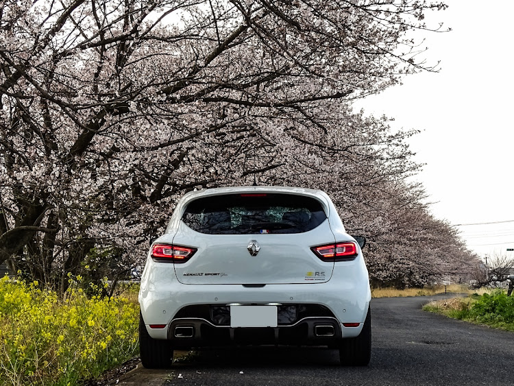 ルーテシアの桜と愛車・菜の花畑とコラボ・桜とコラボ・繋がろうルーテシアオーナー・ルノー祭りに関するカスタム事例の投稿画像2枚目