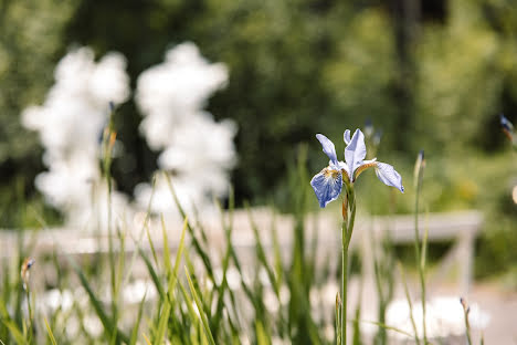 Svatební fotograf Anna Rudanova (rudanovaanna). Fotografie z 9.listopadu 2023