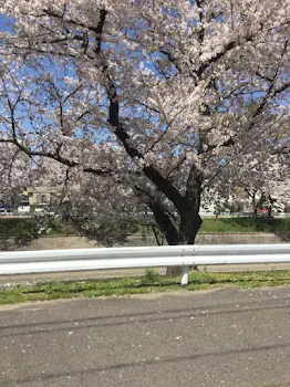 りかちゃんの友達紹介