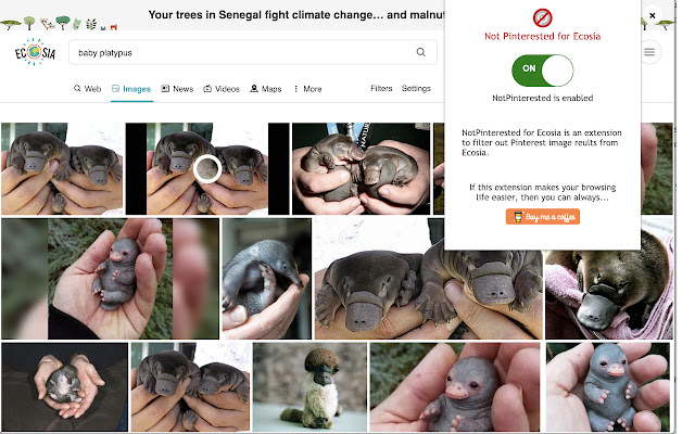 NotPinterested for Ecosia chrome extension