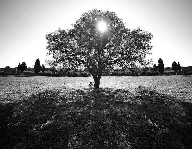 Fotógrafo de casamento Ufuk Akyüz (ozelfotografci). Foto de 30 de abril 2019