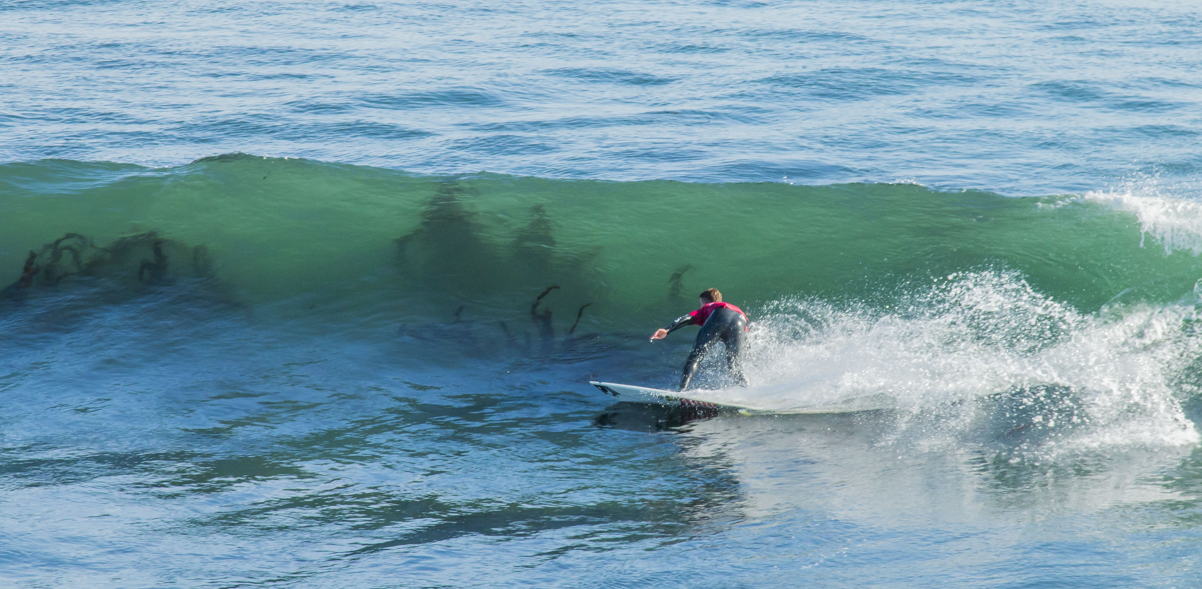 Surfeando tra tentacoli. di GD