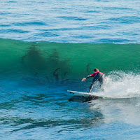 Surfeando tra tentacoli. di 