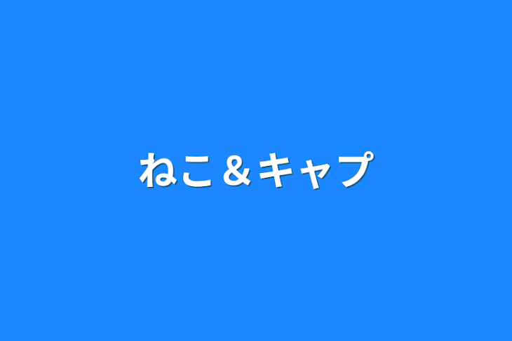 「ねこ＆キャプ」のメインビジュアル