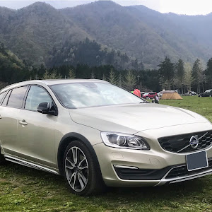 V60 FD4204T