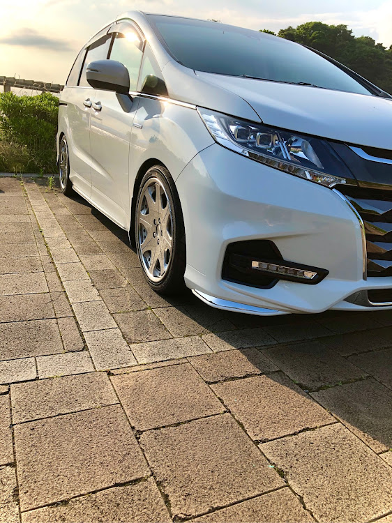 オデッセイのレオンハルト ヴァッフェ・やっとホイール装着・やっと車高調に関するカスタム事例の投稿画像1枚目