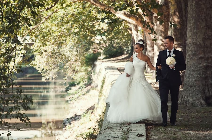 Fotografo di matrimoni Tibor Tóth (tibortoth). Foto del 31 agosto 2016