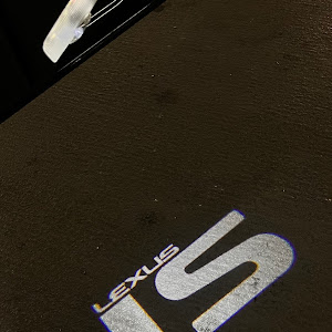 IS GSE20