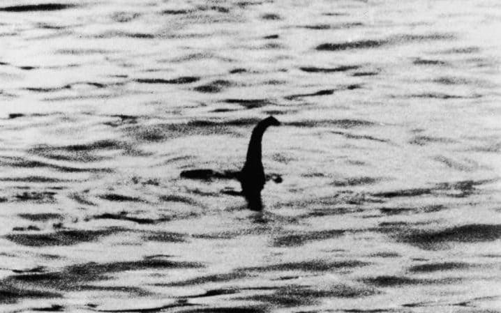 photograph of the supposed loch ness monster's head, also known as 'the surgeon's photograph'