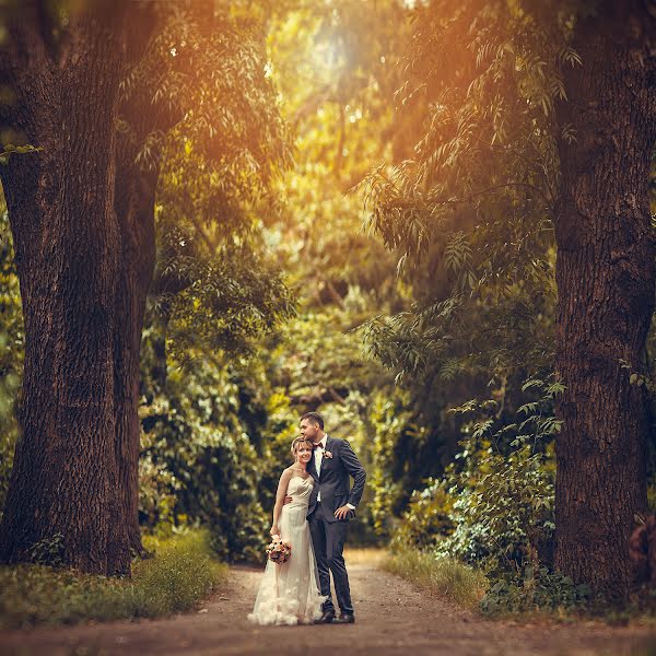 Fotógrafo de bodas Anna Vikhastaya (annavihastaya). Foto del 14 de julio 2015