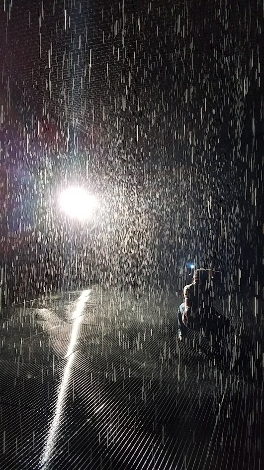 Rain Room by art collective Random International. The timed tickets limited viewers to a small group for 15 minutes. During that time, the audience is treated to a dark room illuminated with dramatic spotlight and torrents of rain controlled by technology that senses where a person is and makes it stop raining where you stand but continues to fall around you.