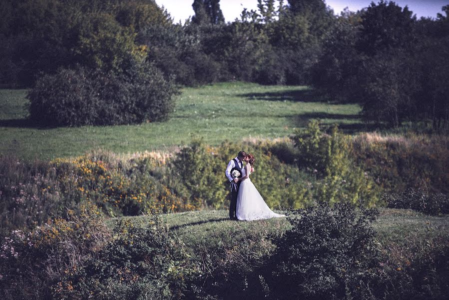 Fotografo di matrimoni Vitaliy Lozovoy (photovetal). Foto del 31 ottobre 2015