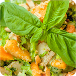 Salad recipes Apk