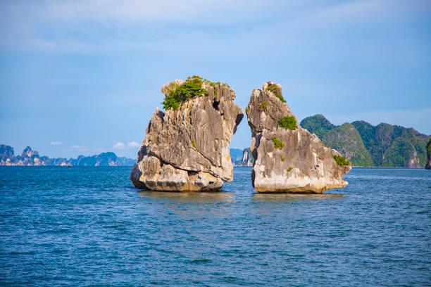 halong bay vietnam - vịnh hạ long hình ảnh sẵn có, bức ảnh & hình ảnh trả phí bản quyền một lần