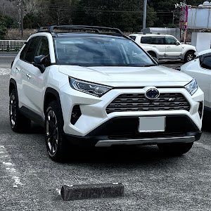 RAV4 MXAA54