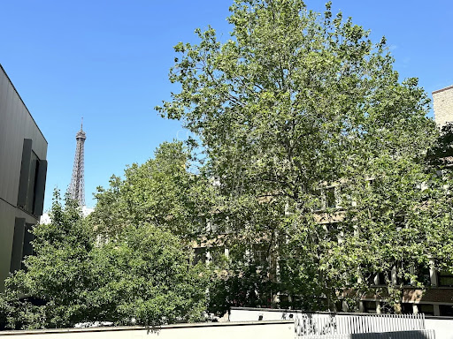 Apartment 3