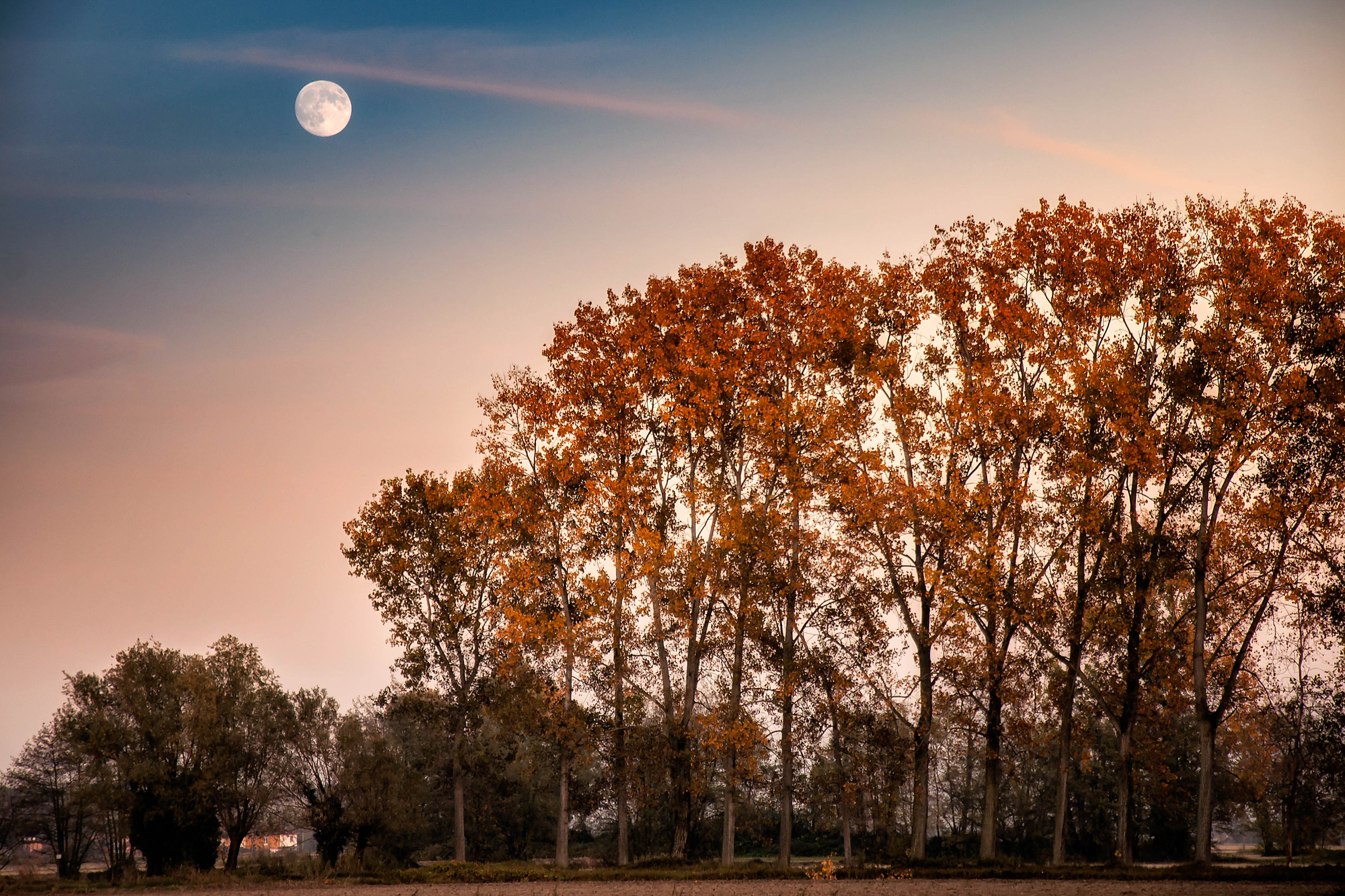 Cielo di Novembre di utente cancellato