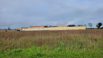 maison neuve à Ciré-d'Aunis (17)