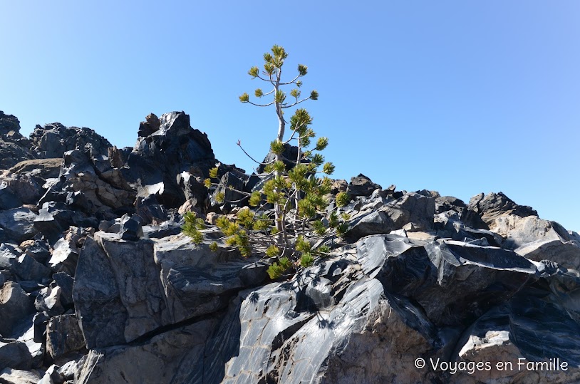 Big Obsidian Flow