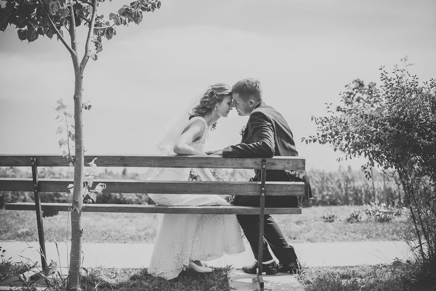 Fotografo di matrimoni Іrina Timoschenko (tymoshchenko). Foto del 20 agosto 2014