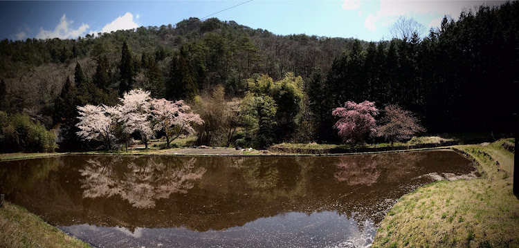 の投稿画像2枚目