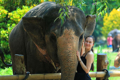 Krabi Elephant Sanctuary