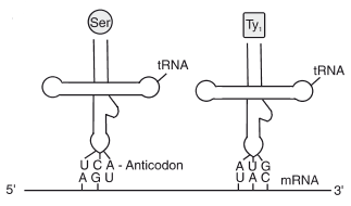 Solution Image