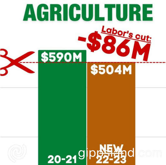 Leader of The Nationals and Shadow Minister for Agriculture Peter Walsh said the devil was in the details, with budget analysis confirming more bad news for Victorian farmers