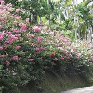 仙徠山莊景觀餐廳