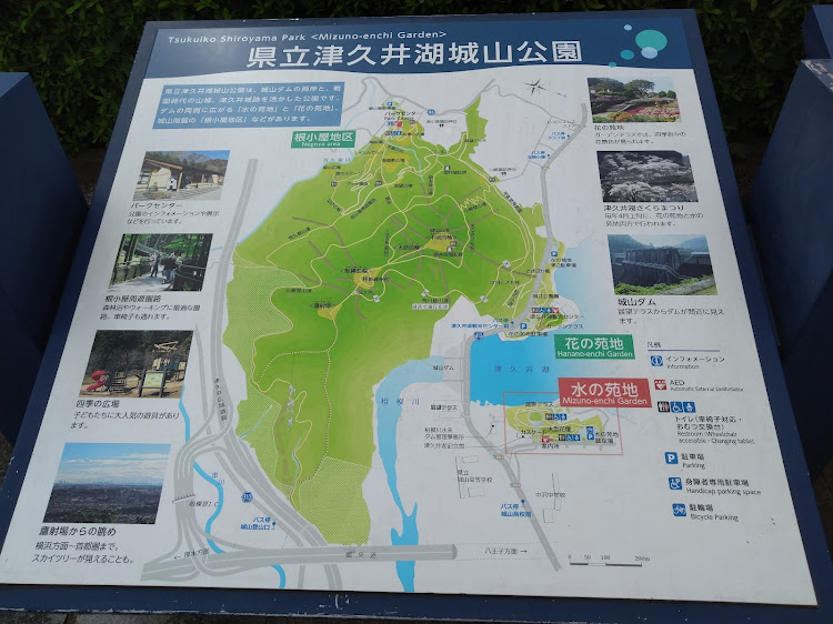 セリカの津久井湖城山公園・ぶらりドライブ・おっさんの休日・ぼっちドライブ・セリカのある生活に関するカスタム事例の投稿画像2枚目