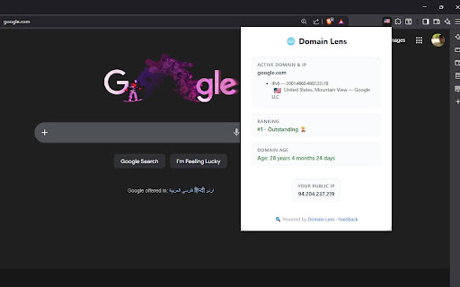 DomainLens screenshot 1