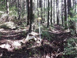 左へ（下に登山標識がある）