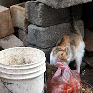 閩式燒餅專賣店