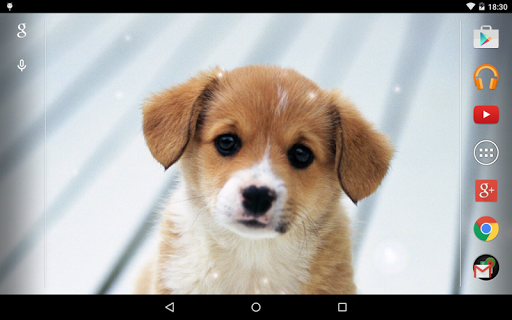 免費下載個人化APP|Puppies Live Wallpaper app開箱文|APP開箱王