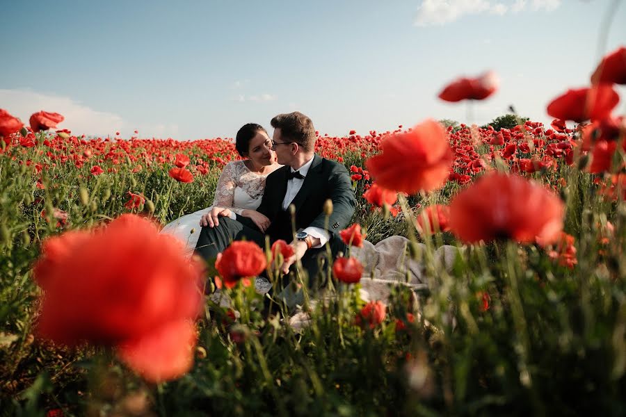 Fotógrafo de bodas Levente Szabó (leventeszabo). Foto del 19 de julio 2023