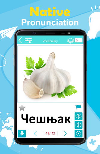 Serbian 5000 Words with Pictures