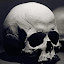 *NEW* HD Skulls Wallpapers New Tab Theme