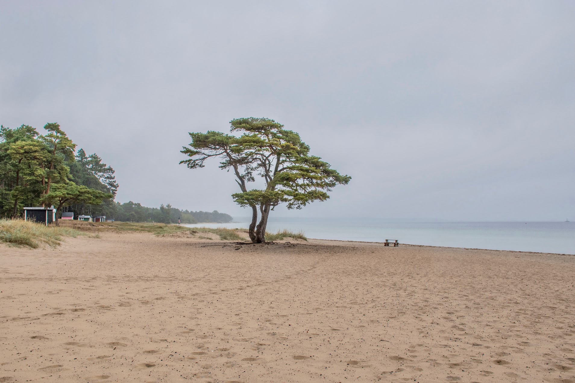 strand-zweden