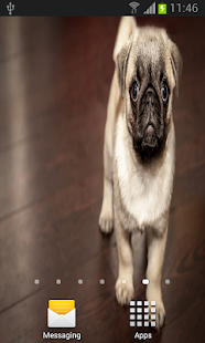How to download Puppy Love Live Wallpaper lastet apk for pc