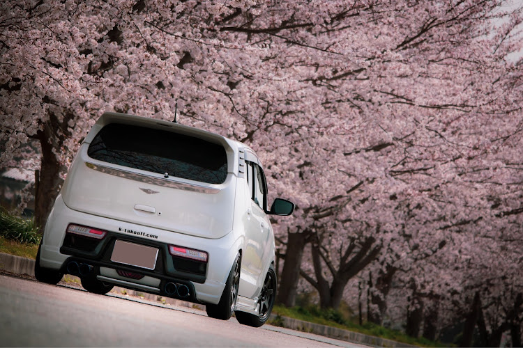 アルトワークスの桜と愛車・桜とコラボ・アルトワークス・HA36Sアルトワークス・TAKE OFFに関するカスタム事例の投稿画像1枚目