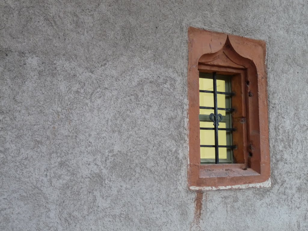 Das Fenster von Heidelberg di pauline