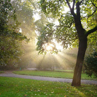 Esplosione di luce di 