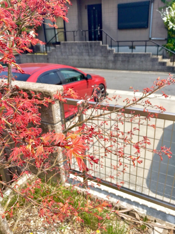 ランサーエボリューションの桜・見納め・楓に関するカスタム事例の投稿画像3枚目