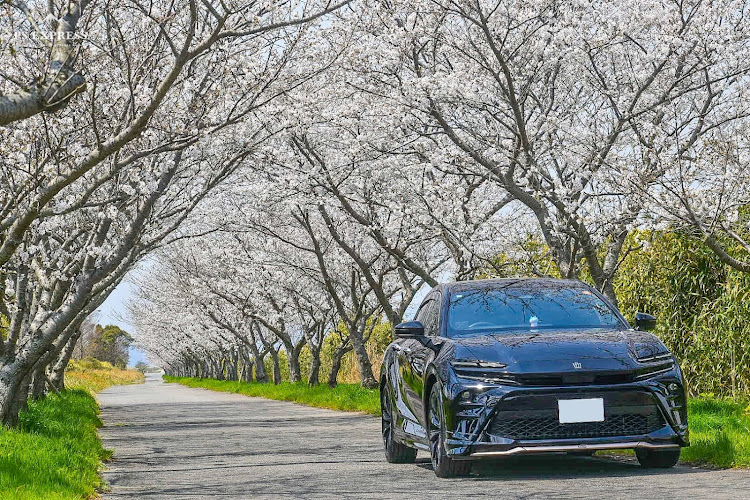 クラウンスポーツの一眼レフのある生活・サクラと愛車・黄砂と花粉は敵・桜シーズン開幕に関するカスタム事例の投稿画像2枚目