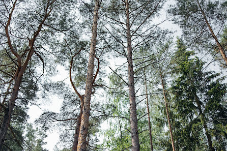 Fotograf ślubny Anna Peklova (annapeklova). Zdjęcie z 25 października 2021