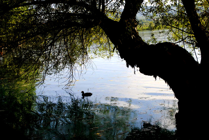 Si sta come d'autunno... di Musa.stancadiessere